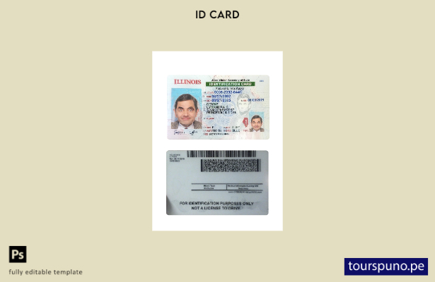 Plantilla de tarjeta de identificación de Illinois de EE. UU. lista para imprimi